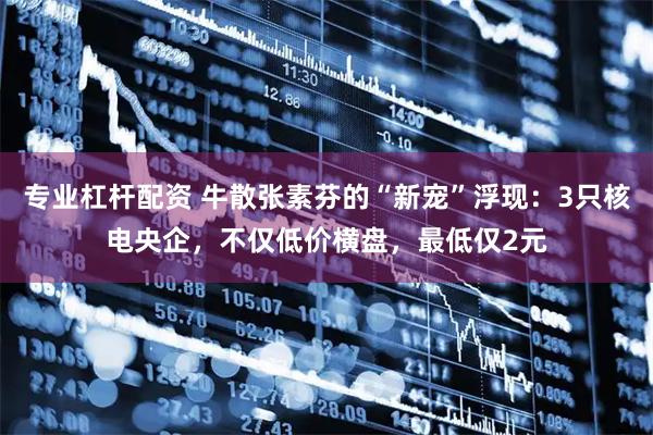 专业杠杆配资 牛散张素芬的“新宠”浮现：3只核电央企，不仅低价横盘，最低仅2元