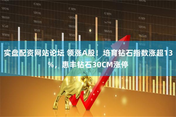 实盘配资网站论坛 领涨A股！培育钻石指数涨超13%，惠丰钻石30CM涨停